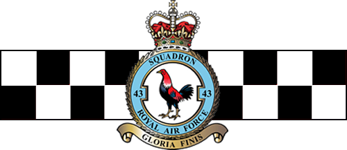 43(F) Sqn Assoc